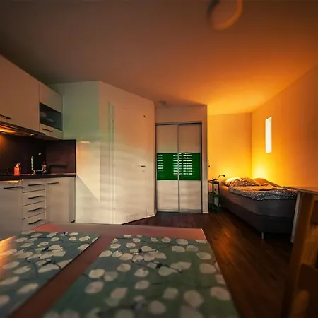 Gottwaldhaus-freiberg-apartment E Apartmán Freiberg