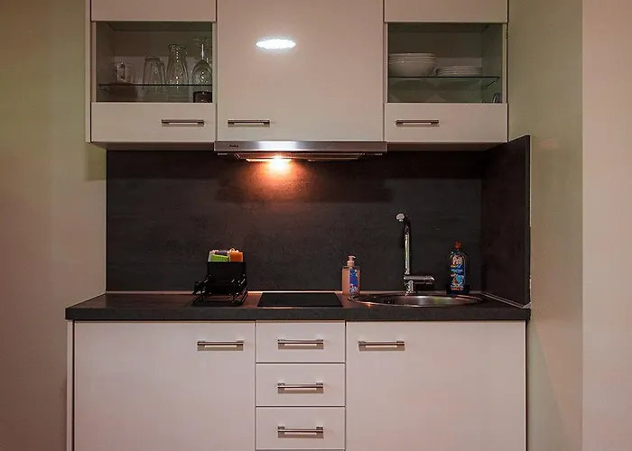 Gottwaldhaus-freiberg-apartment E Apartment