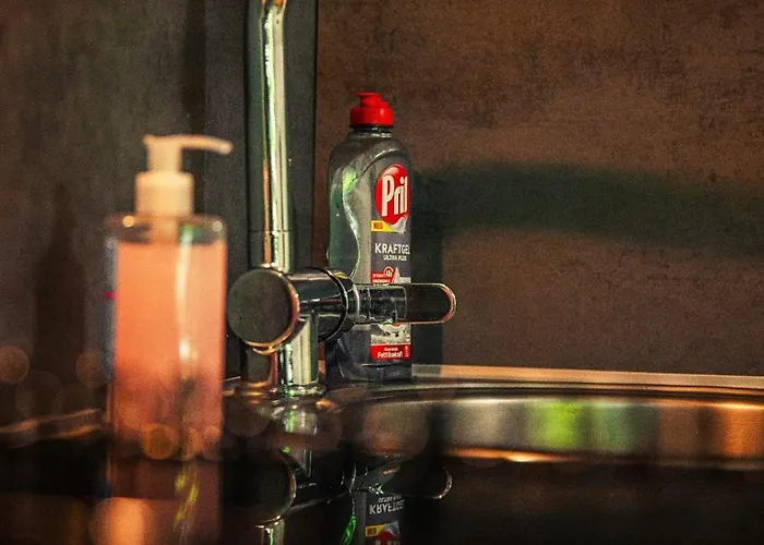 Apartment Gottwaldhaus-freiberg-apartment E *