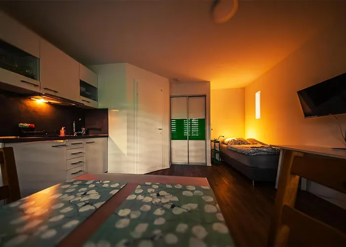 Gottwaldhaus-freiberg-apartment E Apartment Freiberg